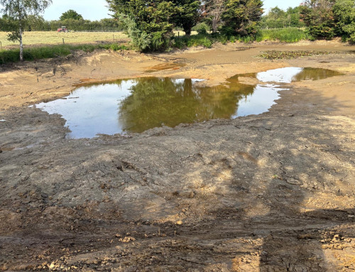 ODAS Crucian project – 2026